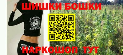 прущие крисы Ставрополь