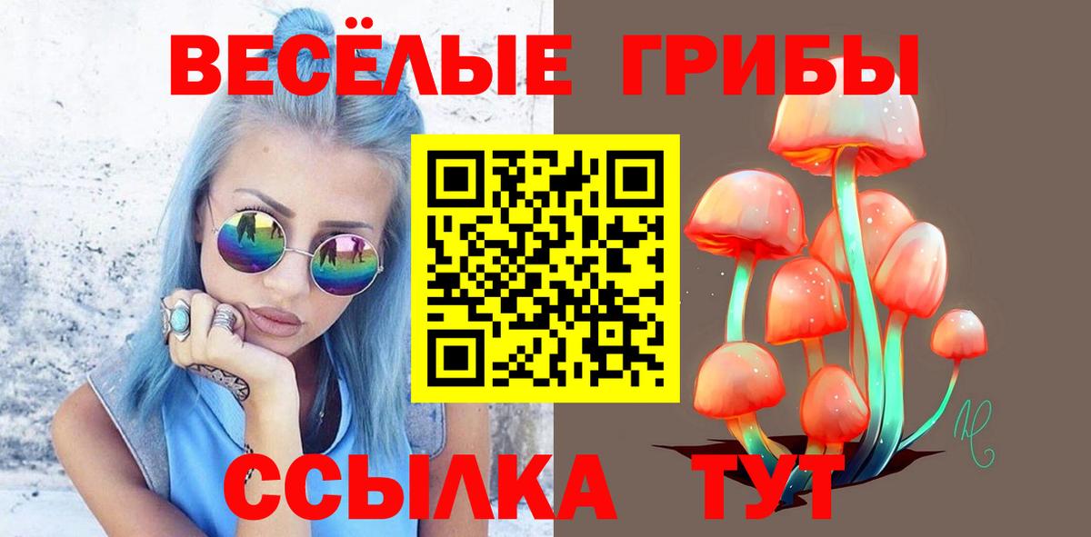 купить  сайты  Галлюциногенные грибы MAGIC MUSHROOMS  Псилоцибиновые грибы Cubensis  Вход с VPN  Орёл 